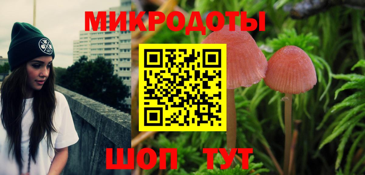 Галлюциногенные грибы мухоморы Кандалакша